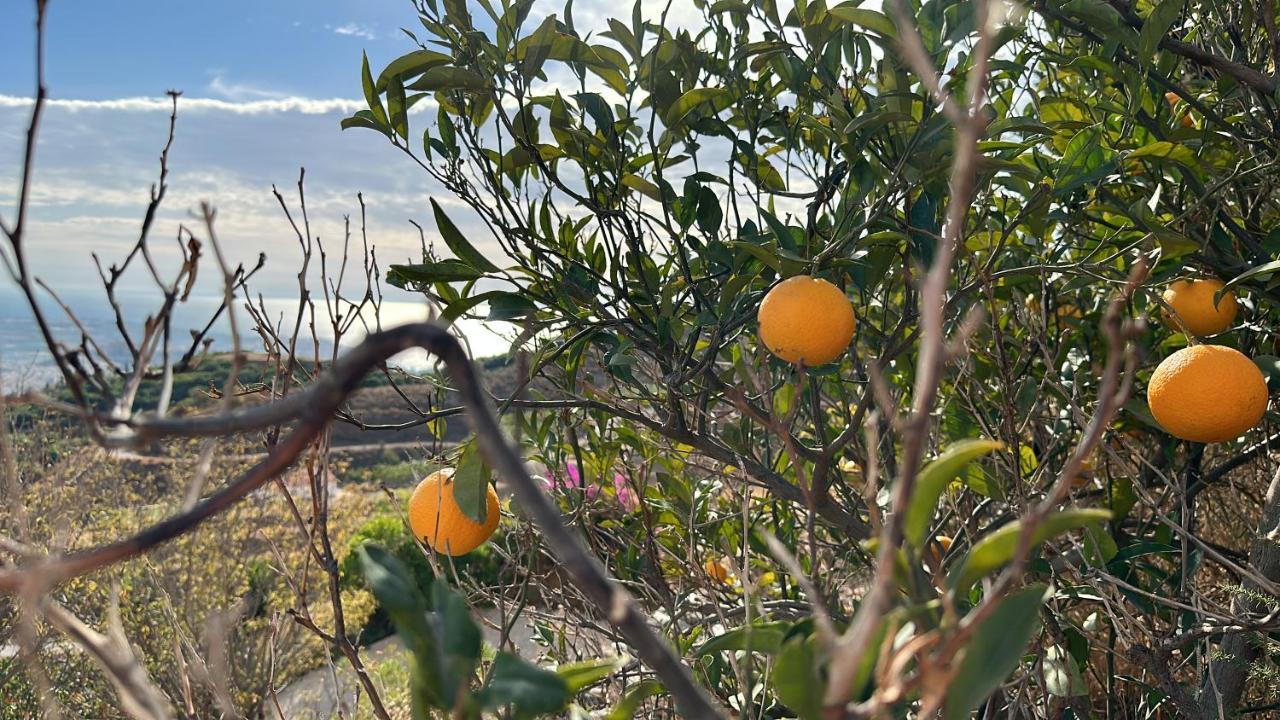 El Paraiso De Salobreña Esterno foto